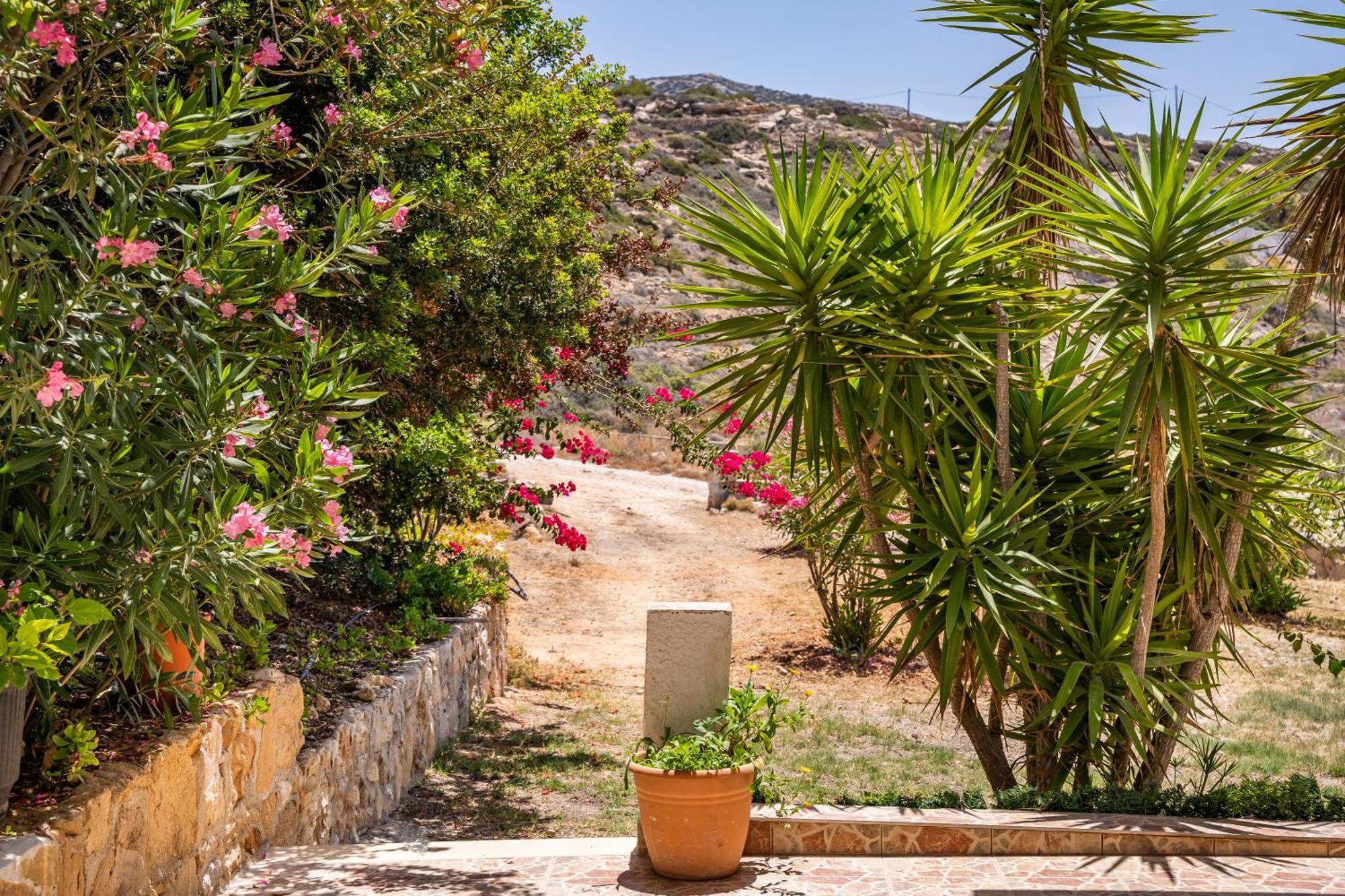 Sun Week Bay Hotel Lefkos  Exterior photo